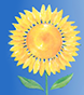 LoVerdi Tax Services LLC logo